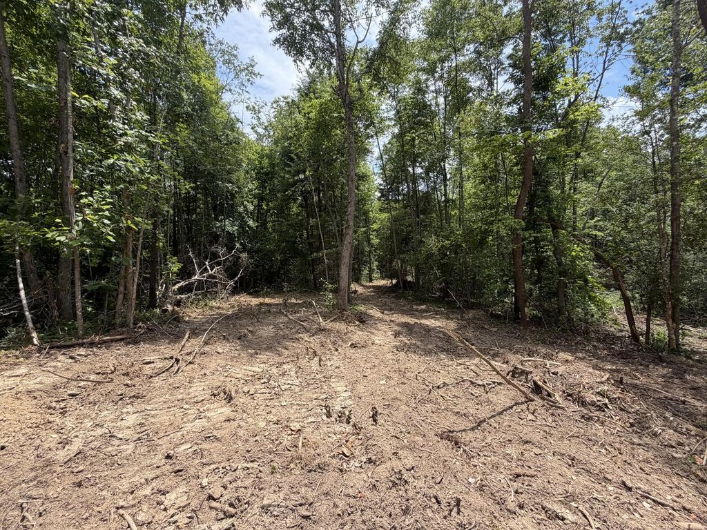 1111 Gibson Lane, Williamsburg