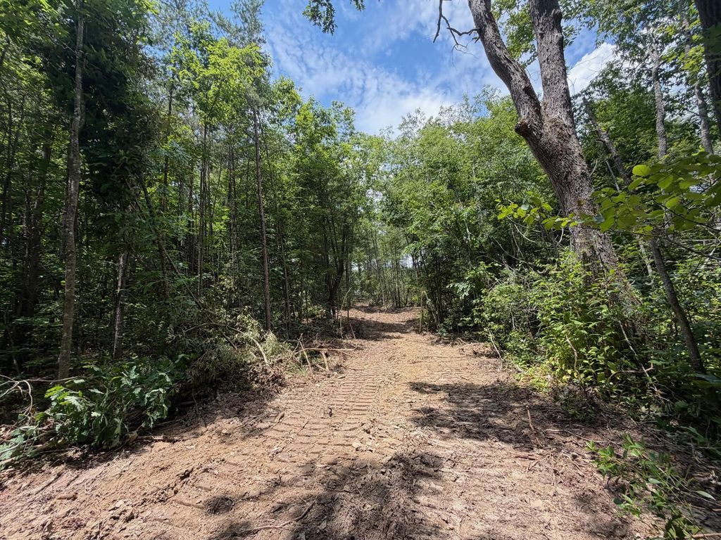 121212 Gibson Lane, Williamsburg