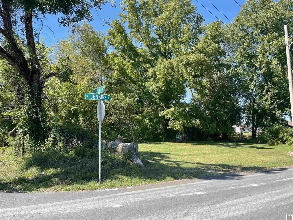 306 S Jenkins Street, Mayfield