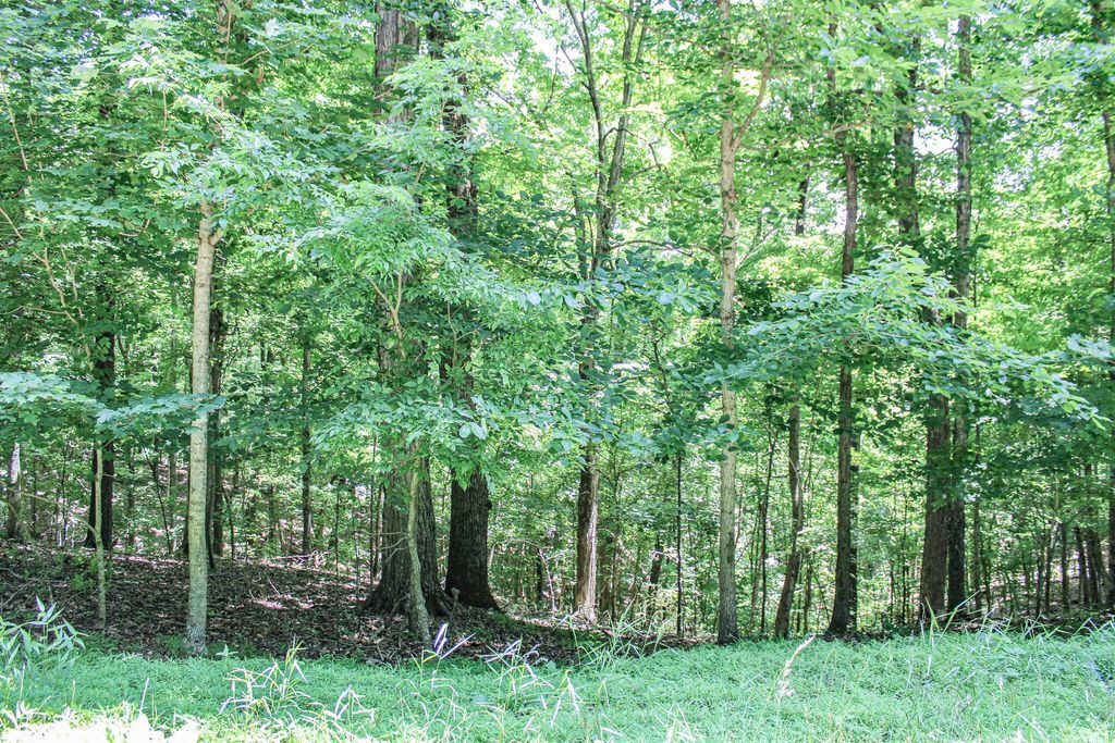 0 Algonquin Road, Eddyville