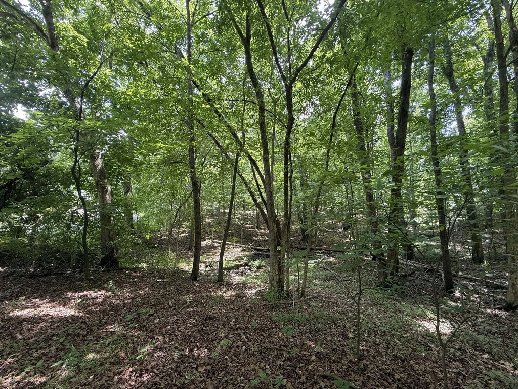 000 Waterway Trail Lot #70b - Keniana Lake Shore, New Concord