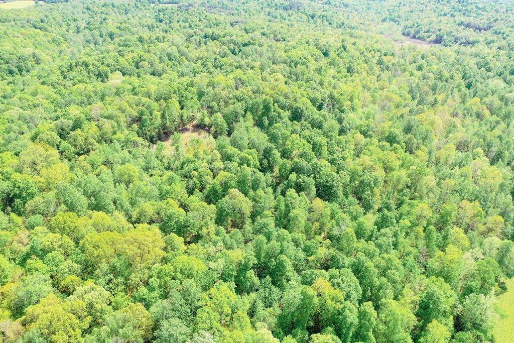 406 Lakewood Road Tract 1, Princeton