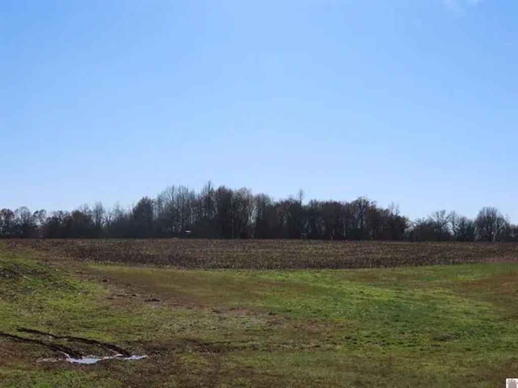 St Rt 45 S Boyd, Wingo
