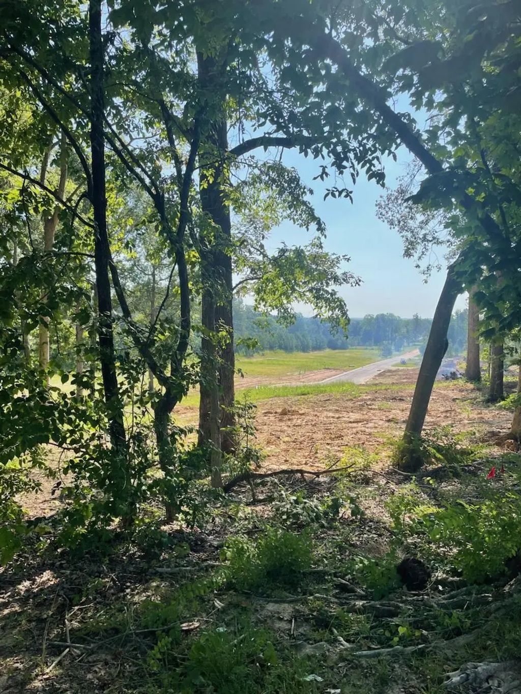 250 Forest Ridge Drive, Paducah