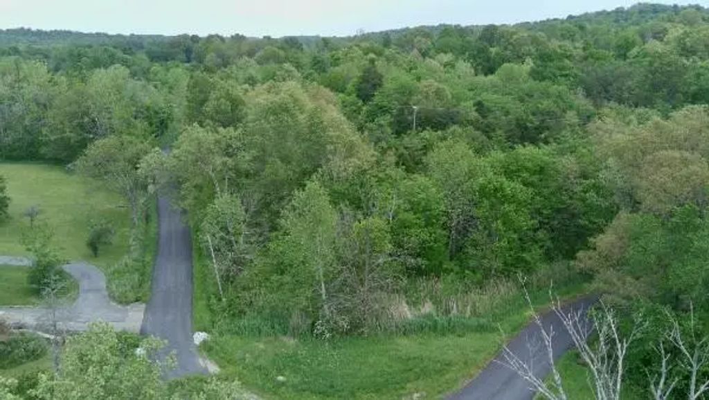 0 Lewistown Church Rd Road, Princeton