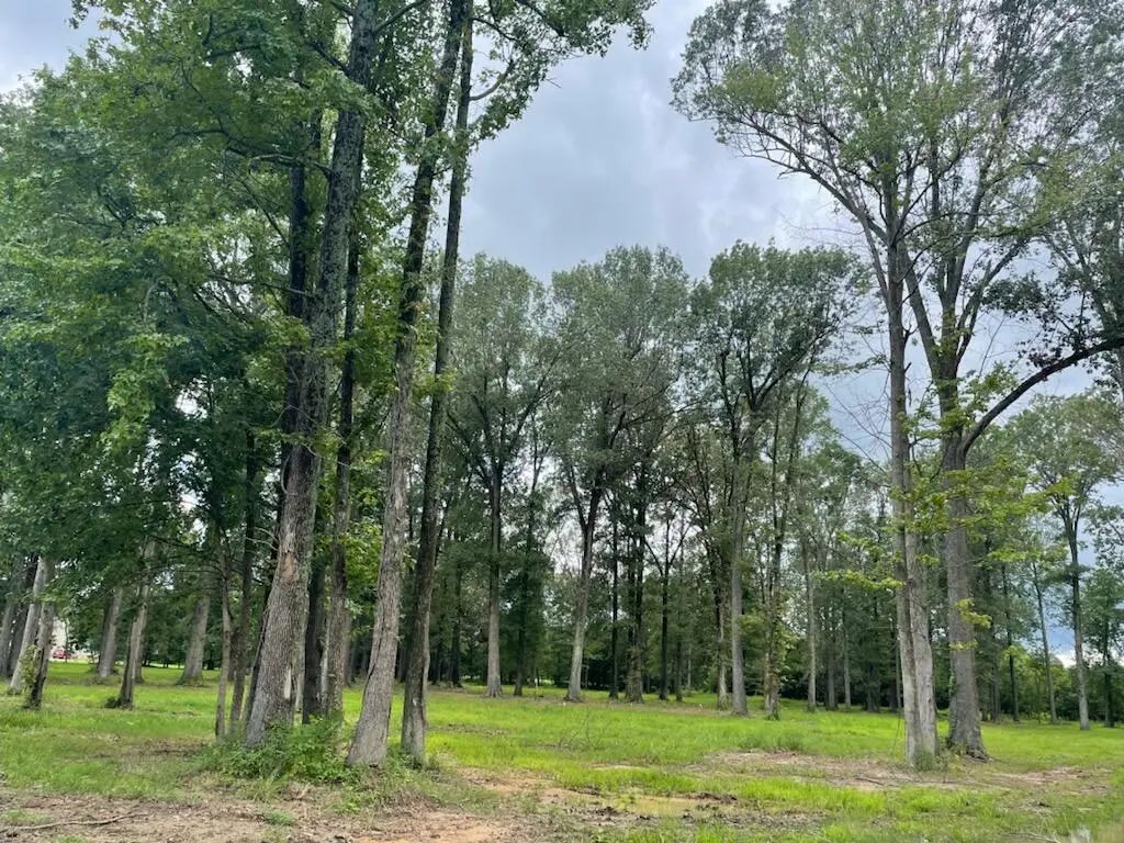 2630  Neal  Drive, Paducah
