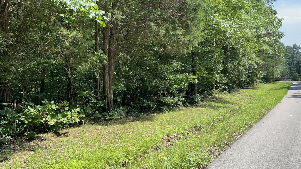 Lot 53 Baypoint Lane, New Concord