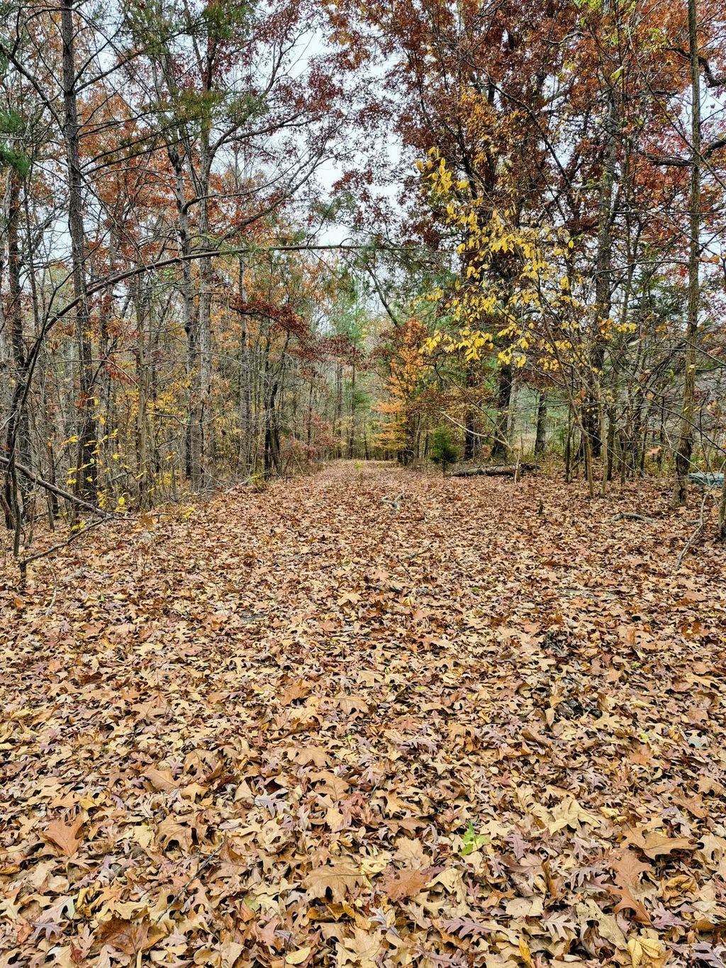 Lot #3 #4 #5 & 37.66 Acre Bear Run Trail 3, Benton