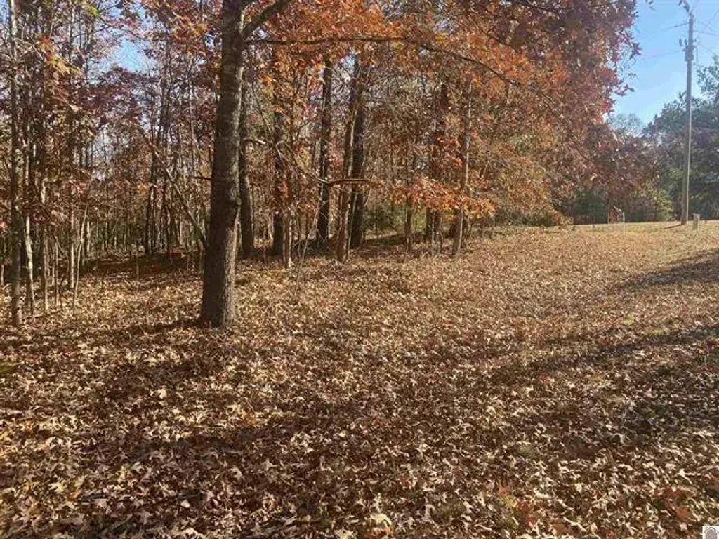 Lot 1 Faust Road, Benton