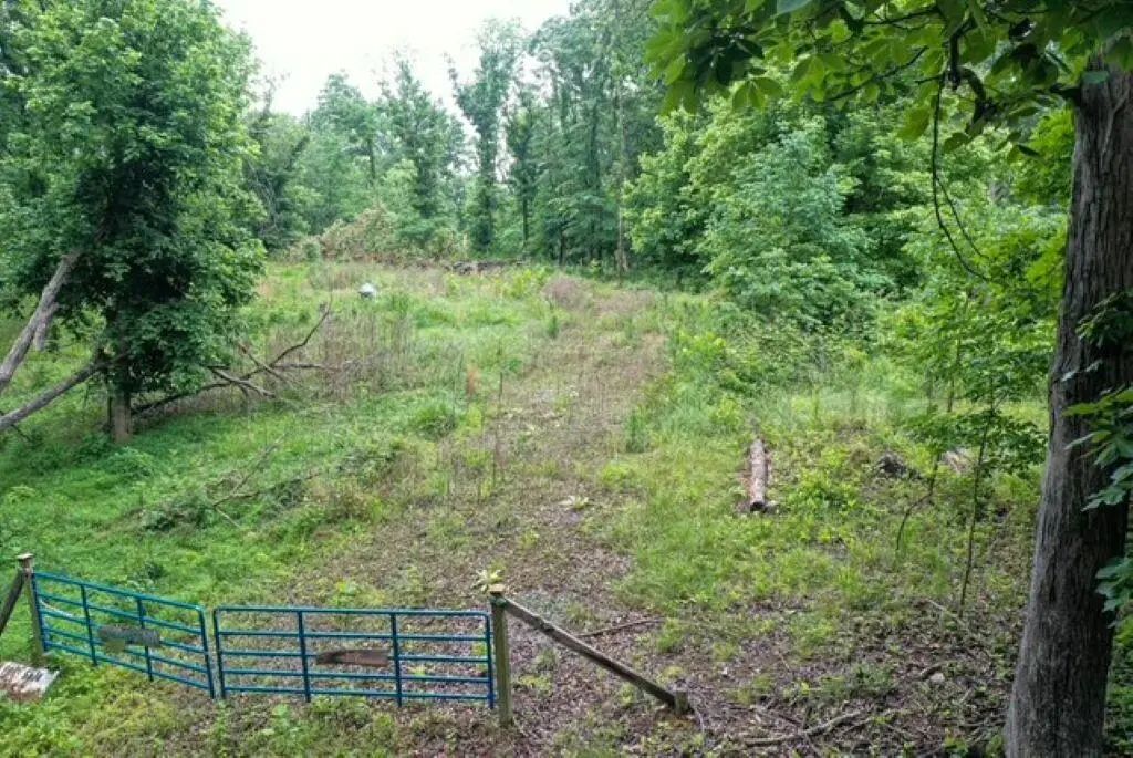 449 Baker Lane, Cadiz