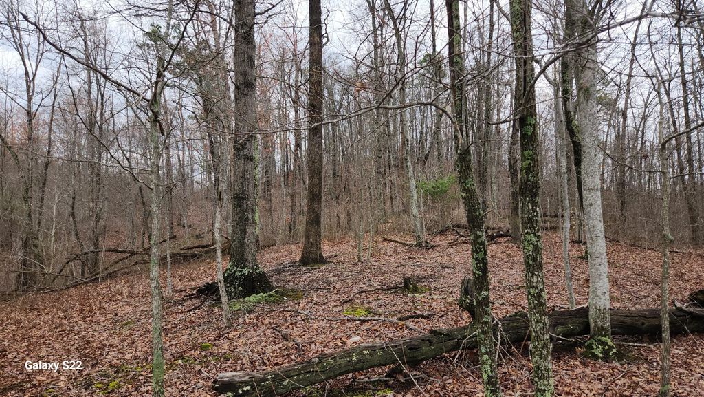 3504 East Fork Road, Means