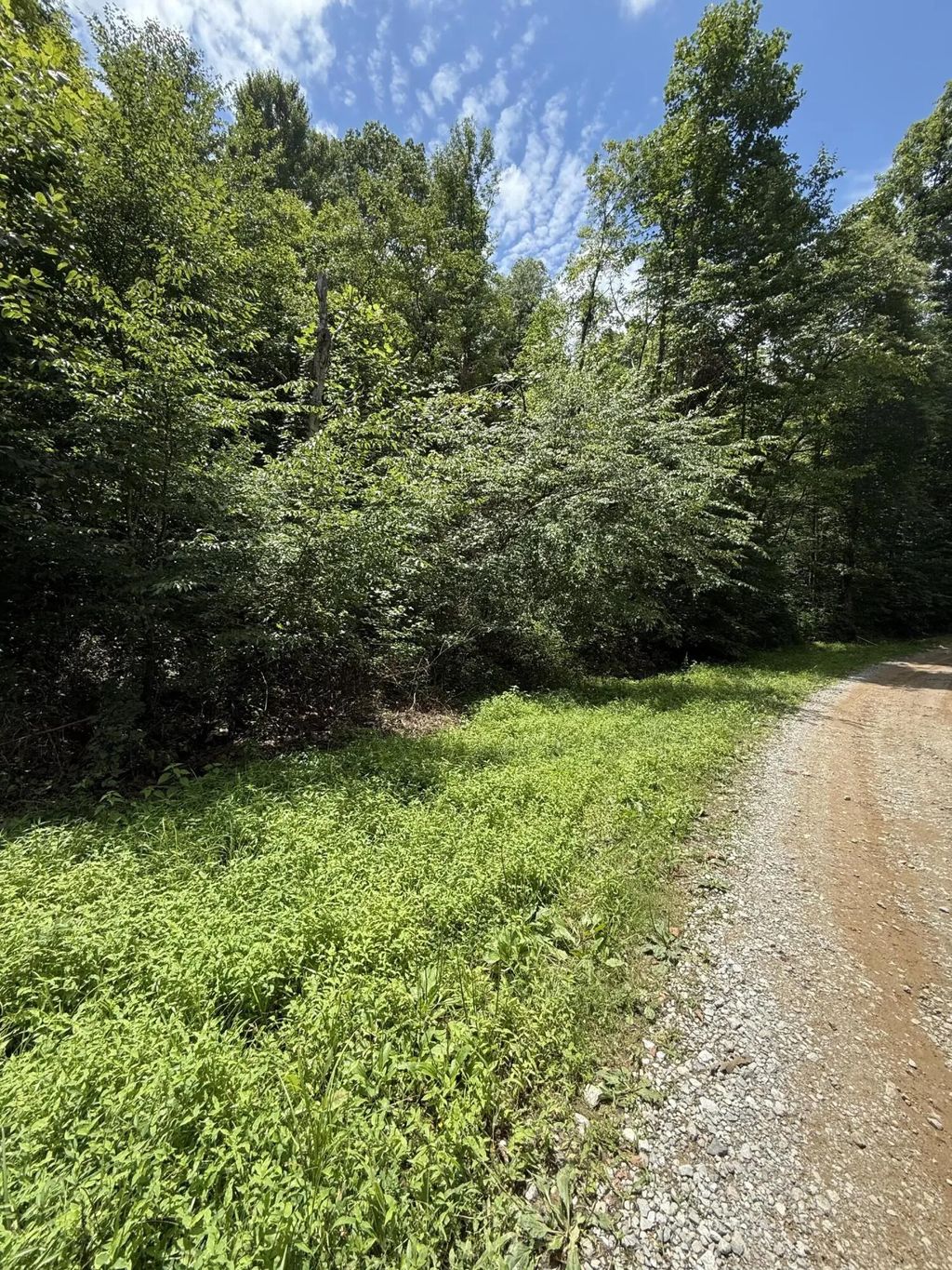 9999 Hwy 6 Big Indian Creek  Road, Woodbine