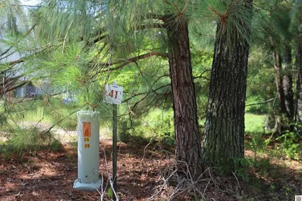 Lot 41 Pine View Drive, Benton