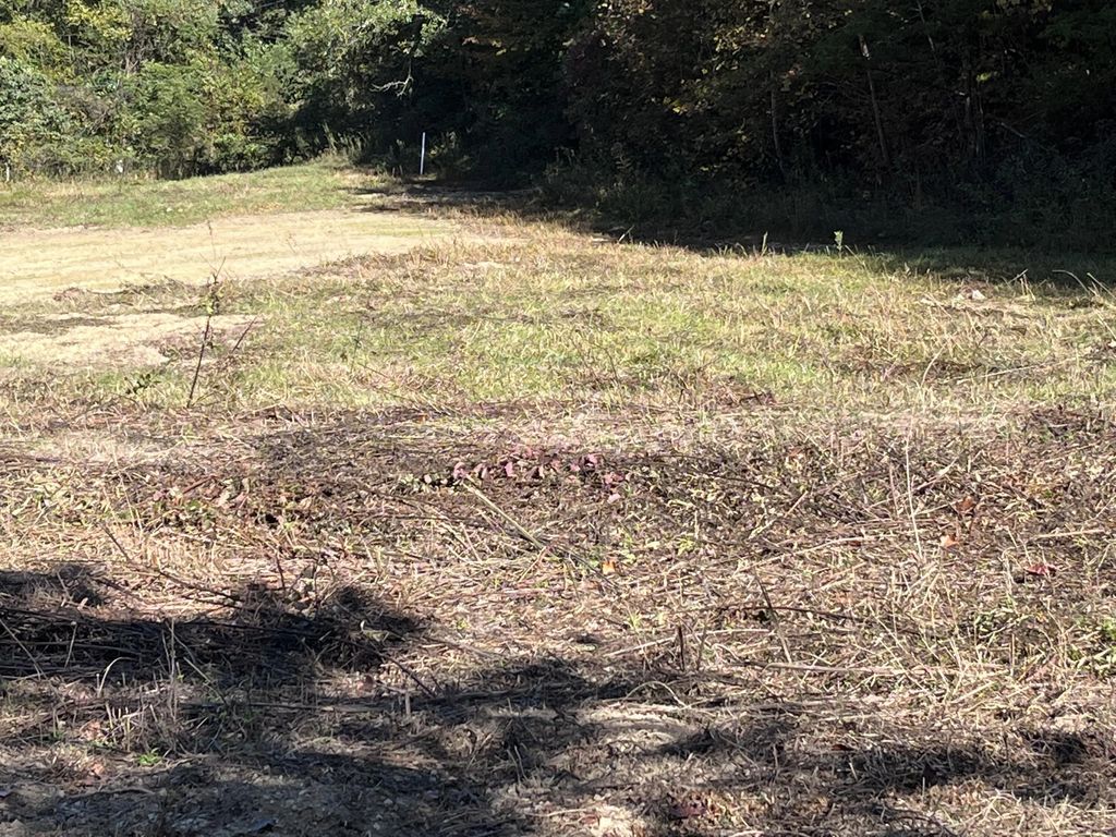 492 Lowder Fork, South Shore