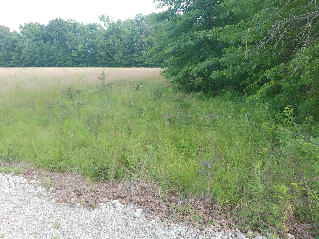 4400 Shemwell Lane, Paducah