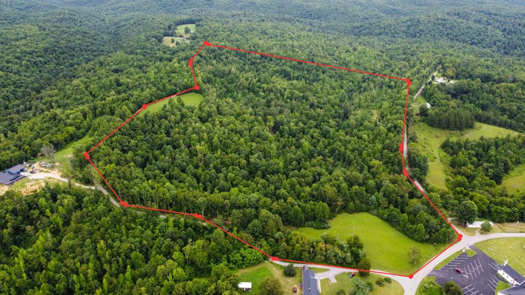 0000 Kentucky 1044, Pine Knot