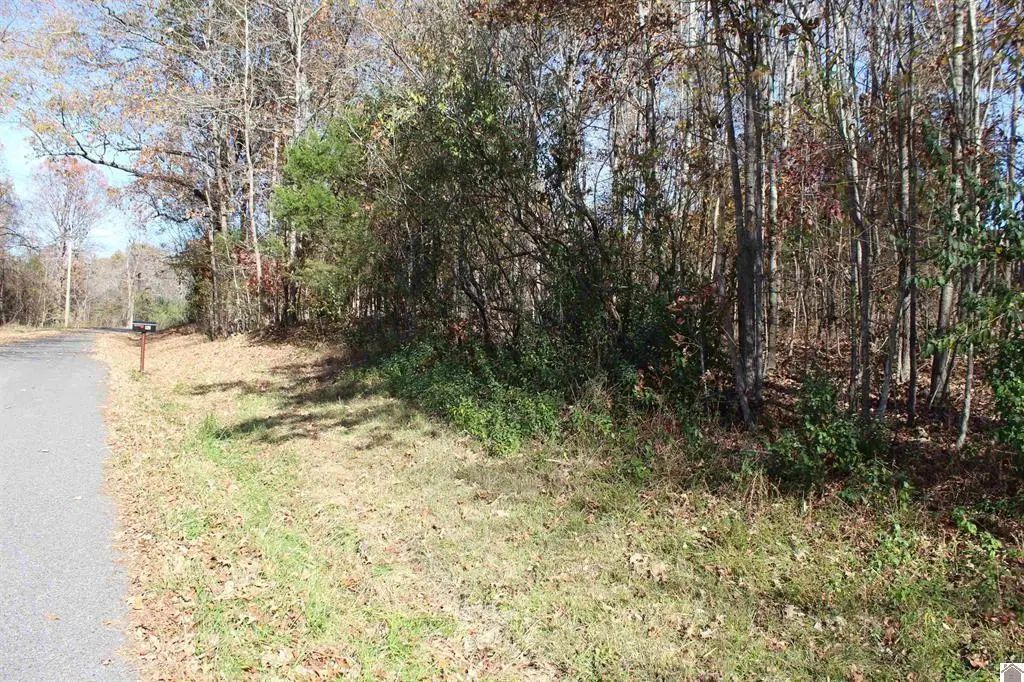 Lot 49 Backstrom Heights Road 63d-49, Eddyville