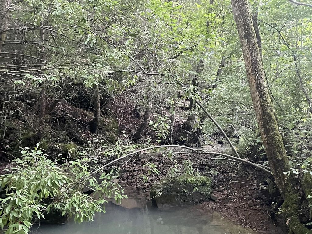 0 Little Rock Creek  Road, Strunk