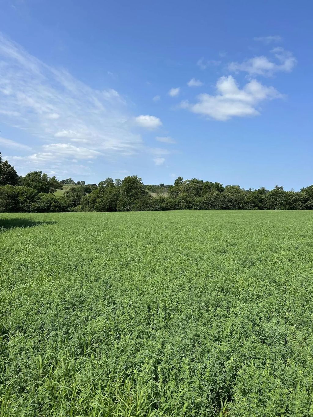 Lot #2 Lucy Lane, Cynthiana