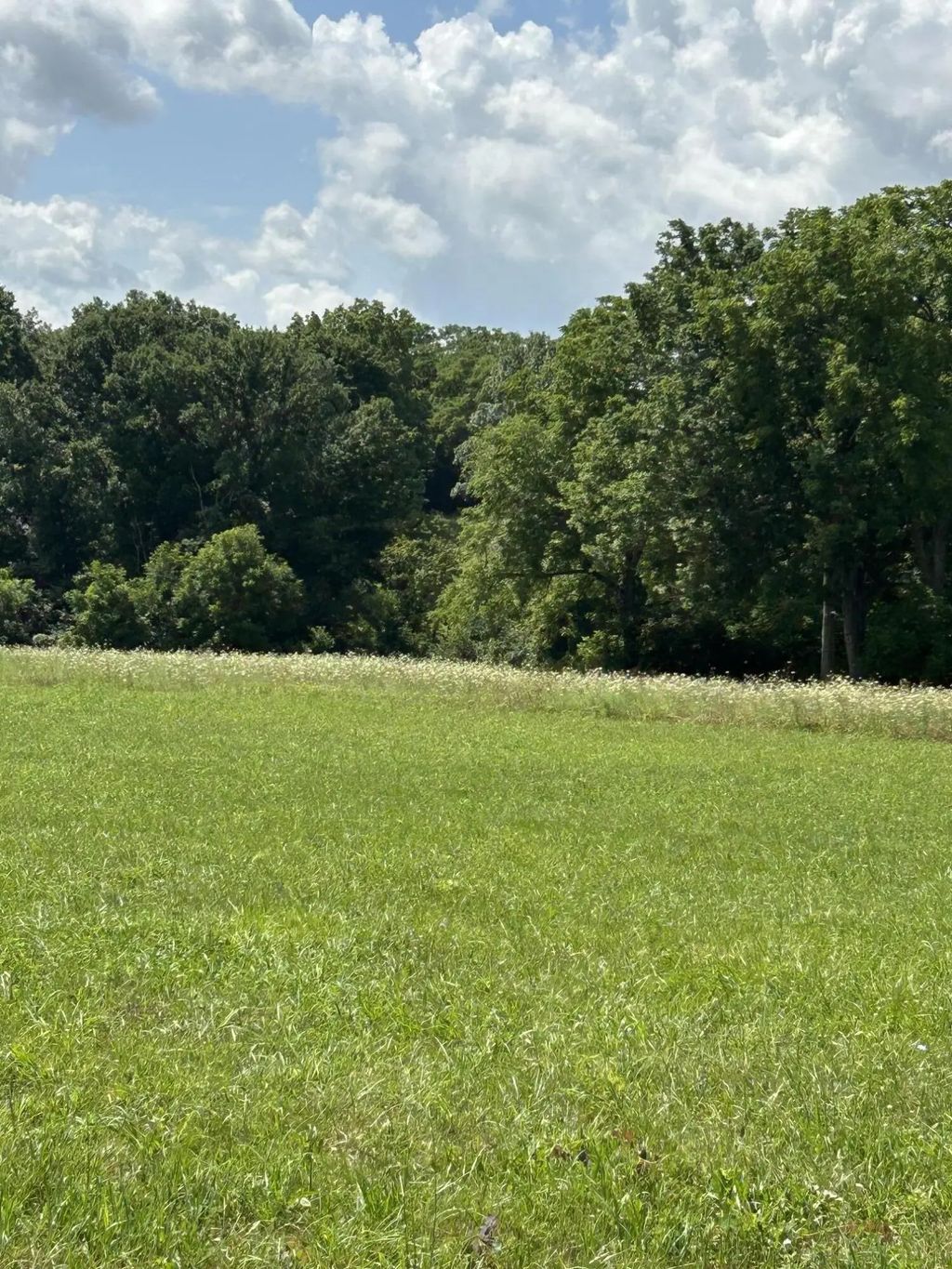 Lucy Lane Lot 3  Lucy Lane, Cynthiana