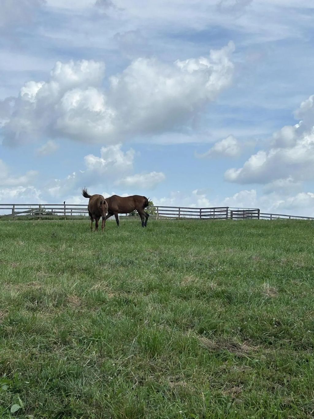 Lot #8  Hendricks Lane, Cynthiana