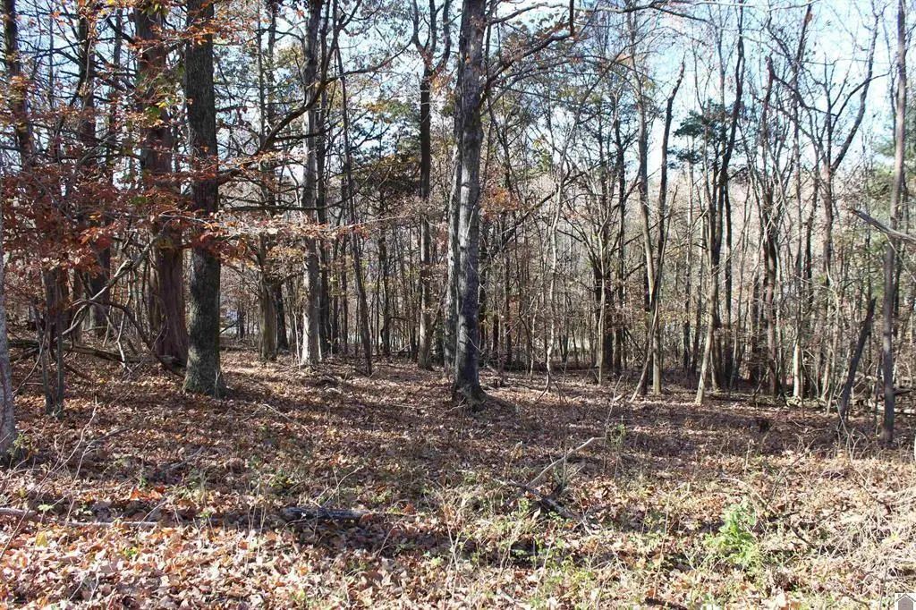 Lot 50 Backstrom Heights Road 63d-50, Eddyville