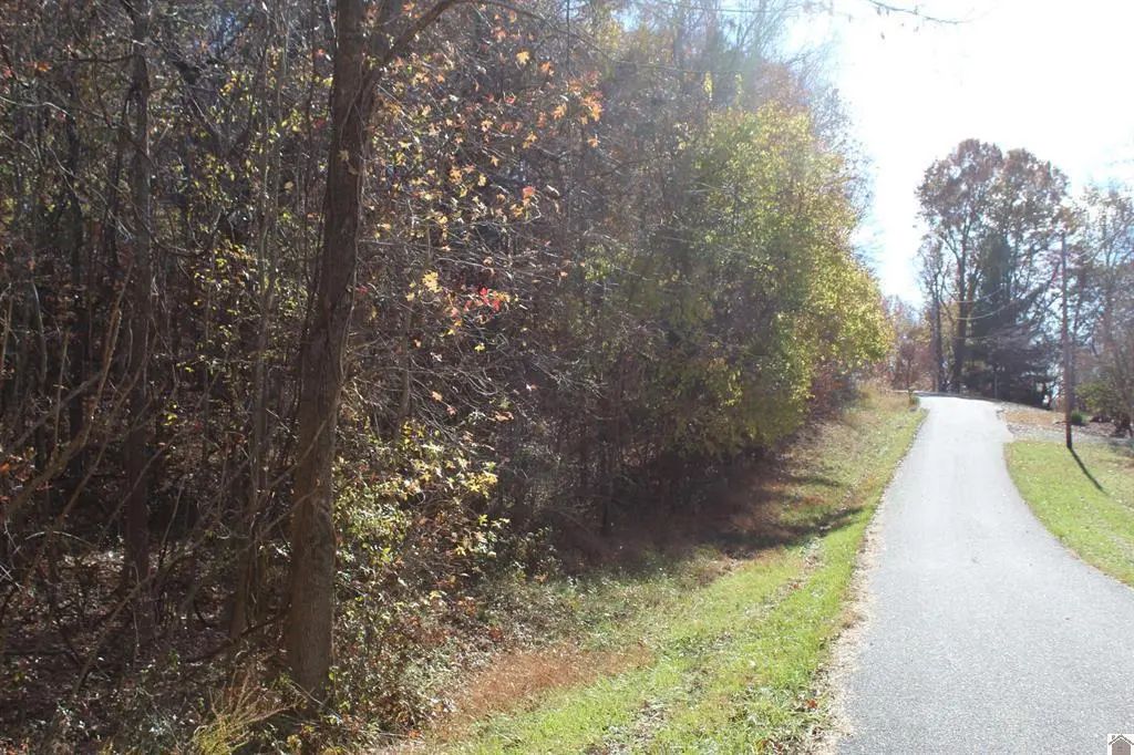 Lot 51 Backstrom Heights Road 63d-51, Eddyville