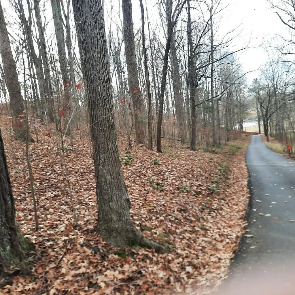 Lot 8 Harbor Drive Lot 8, Eddyville