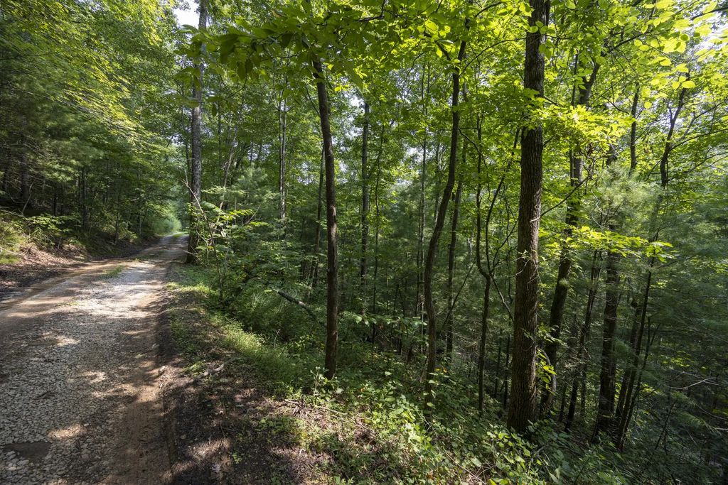 Lot 2 Cave Hollow Road, Campton