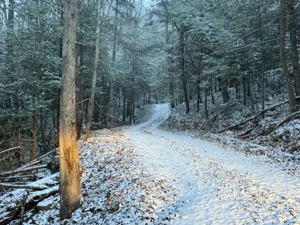 Lot 2 Cave Hollow Road, Campton