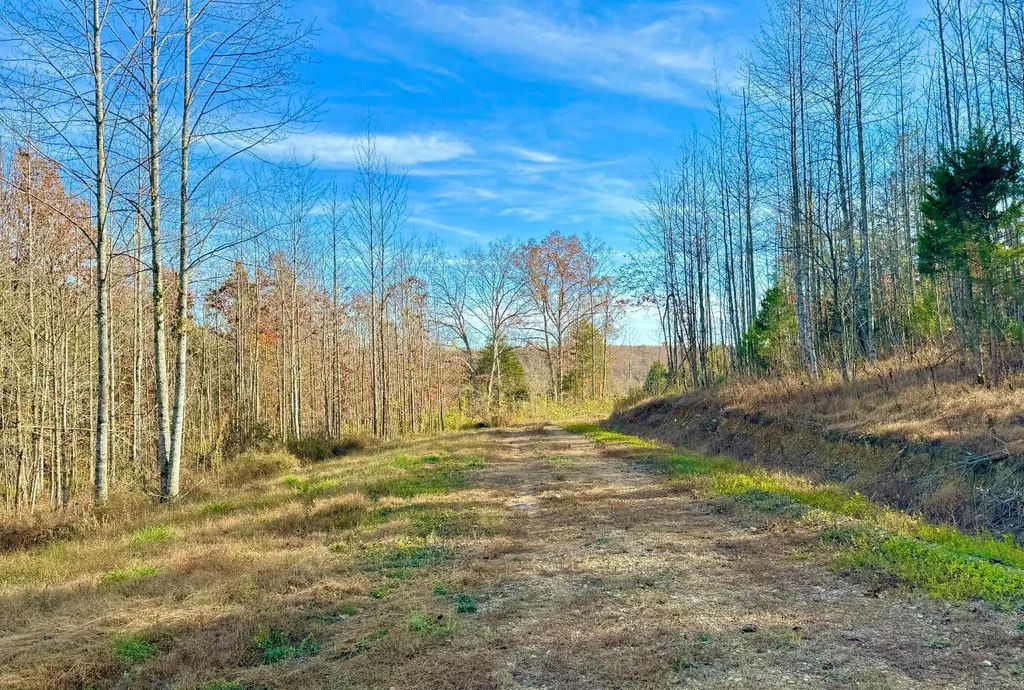 9108 Ky-501 Tract 2-c, Liberty
