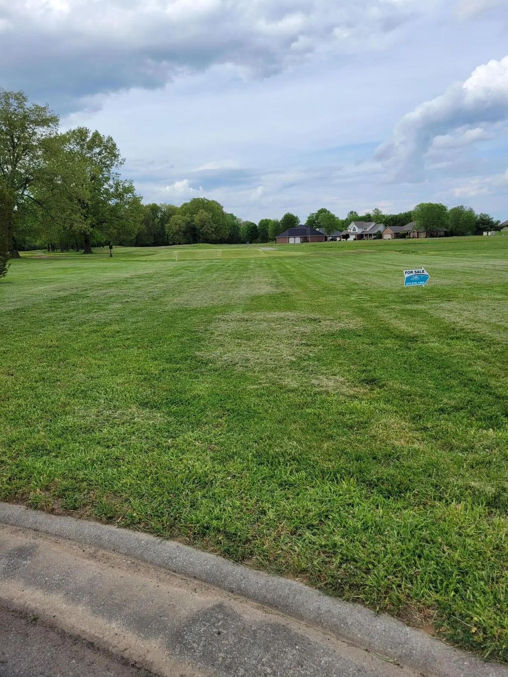 Lot 11 Doral Court, Ledbetter