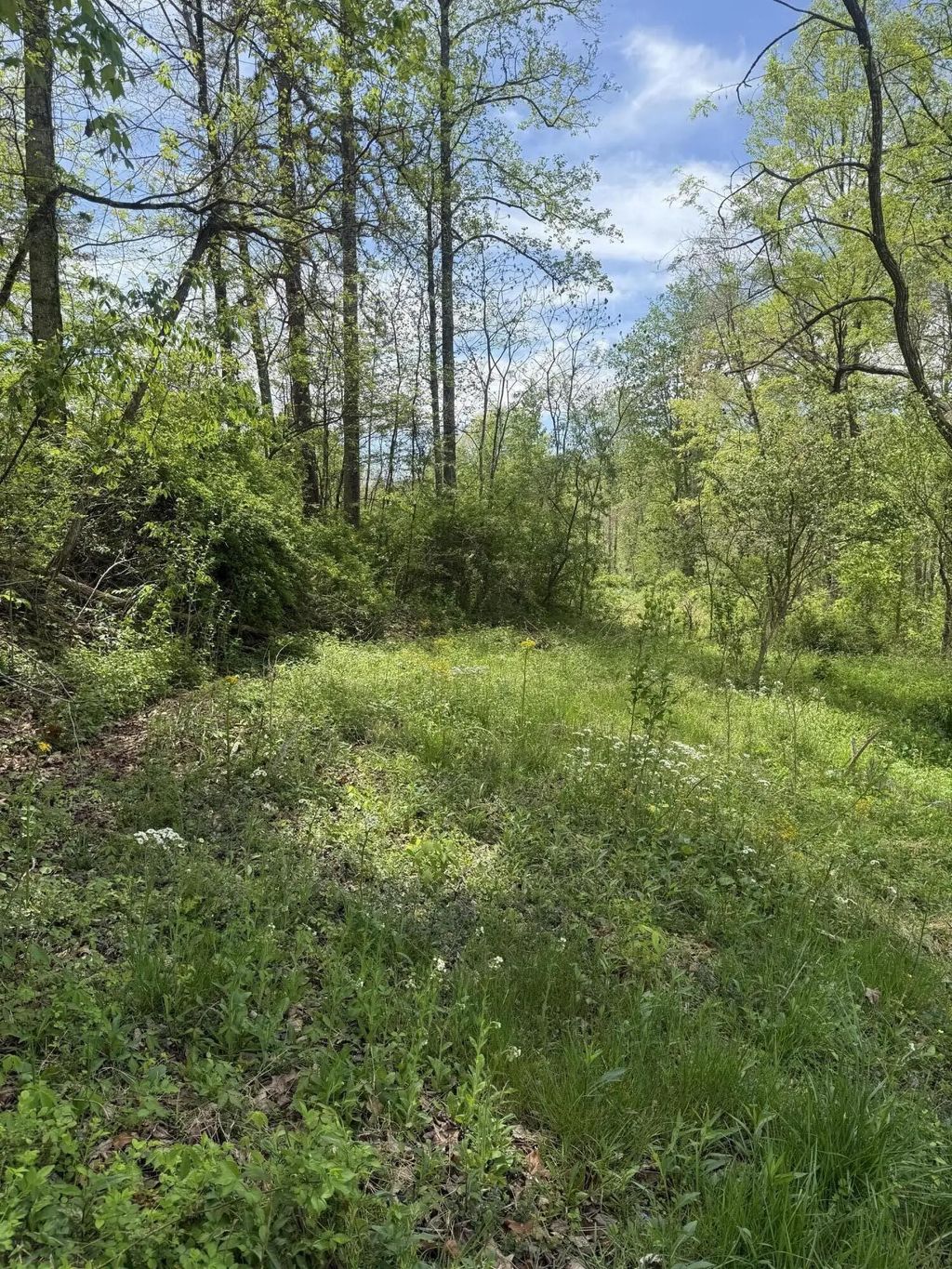 1325 State Highway 1036, Campton