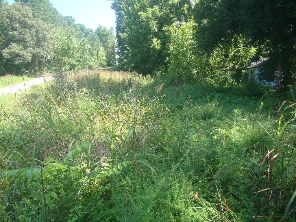 3994 4000 Old Dover Rd Road, Cadiz
