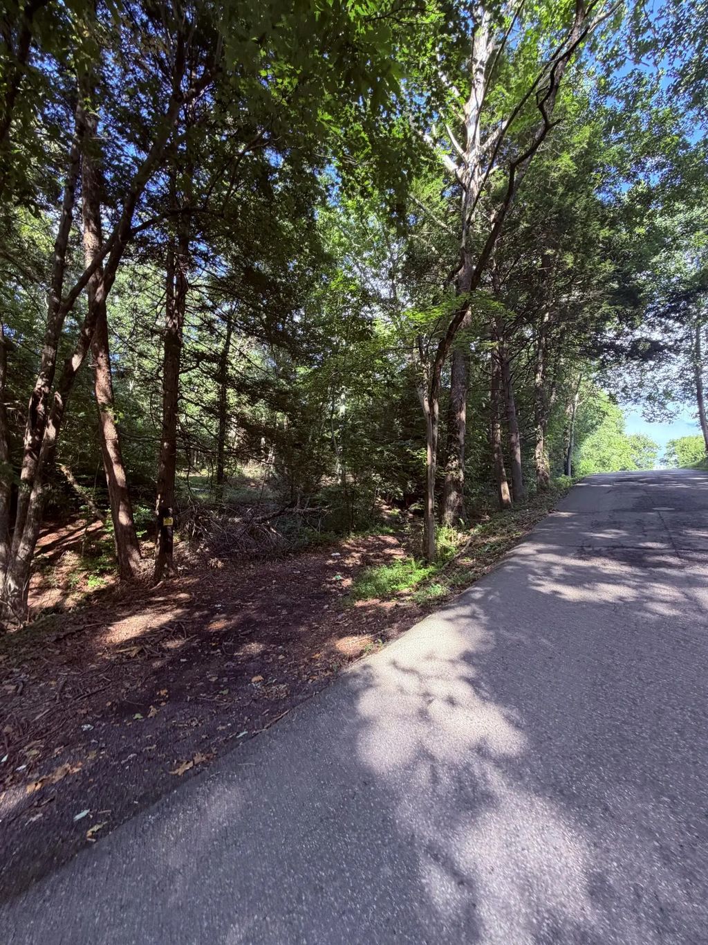 580 Riverbend Road, London