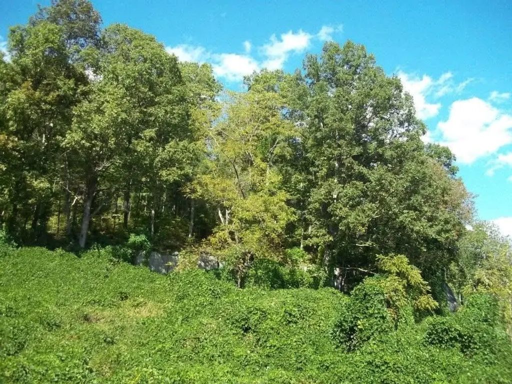 8888 Hales Fork Road, Dewitt