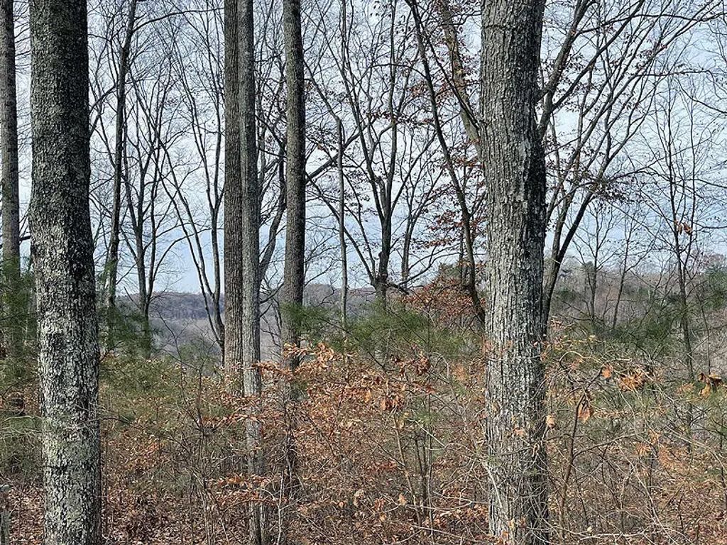 Lot 84 Stillwater, Russell Springs