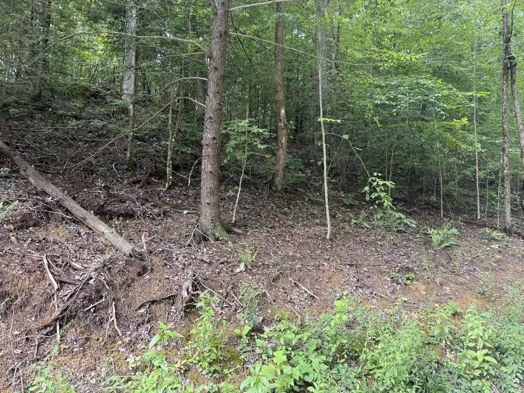 35 Low Ridge Road, Campton