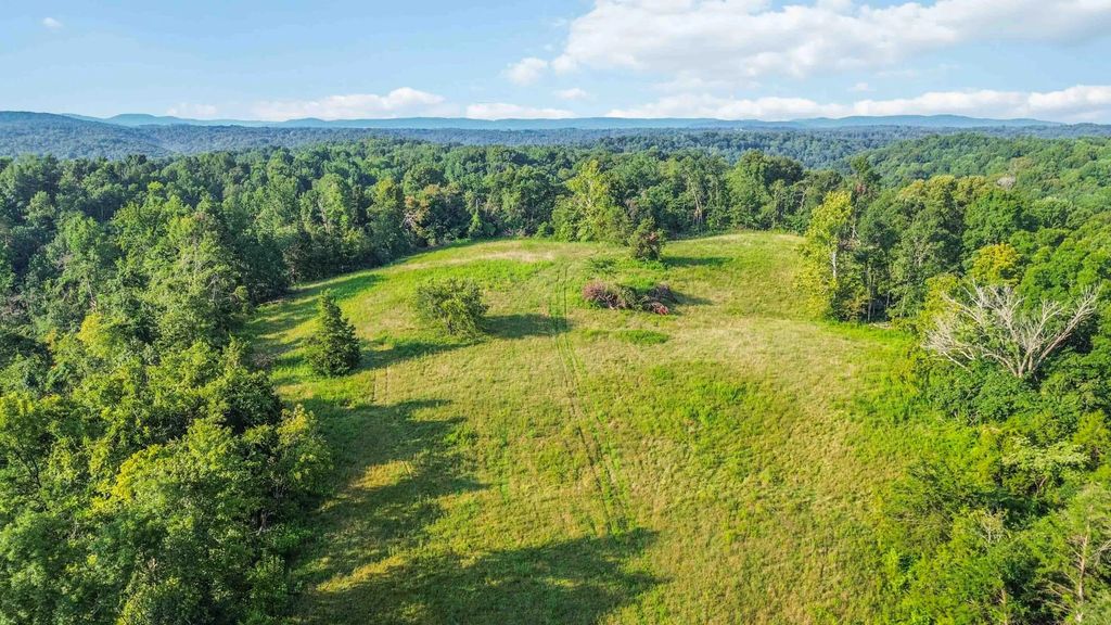 41 Acres Dug Road, Monticello