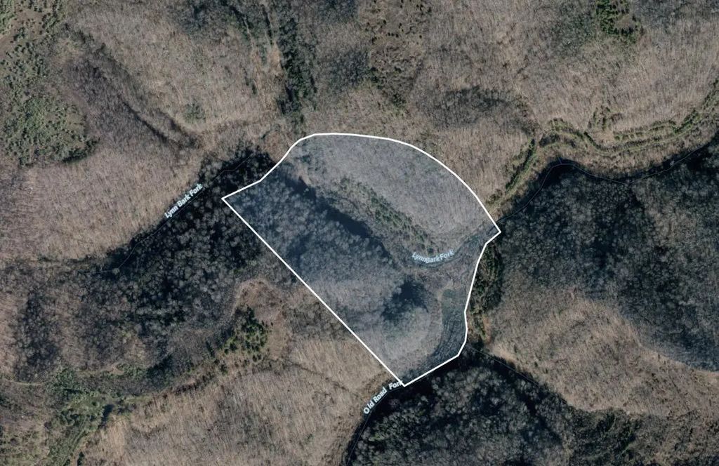 0 Lynn Bark Fork Road, Inez
