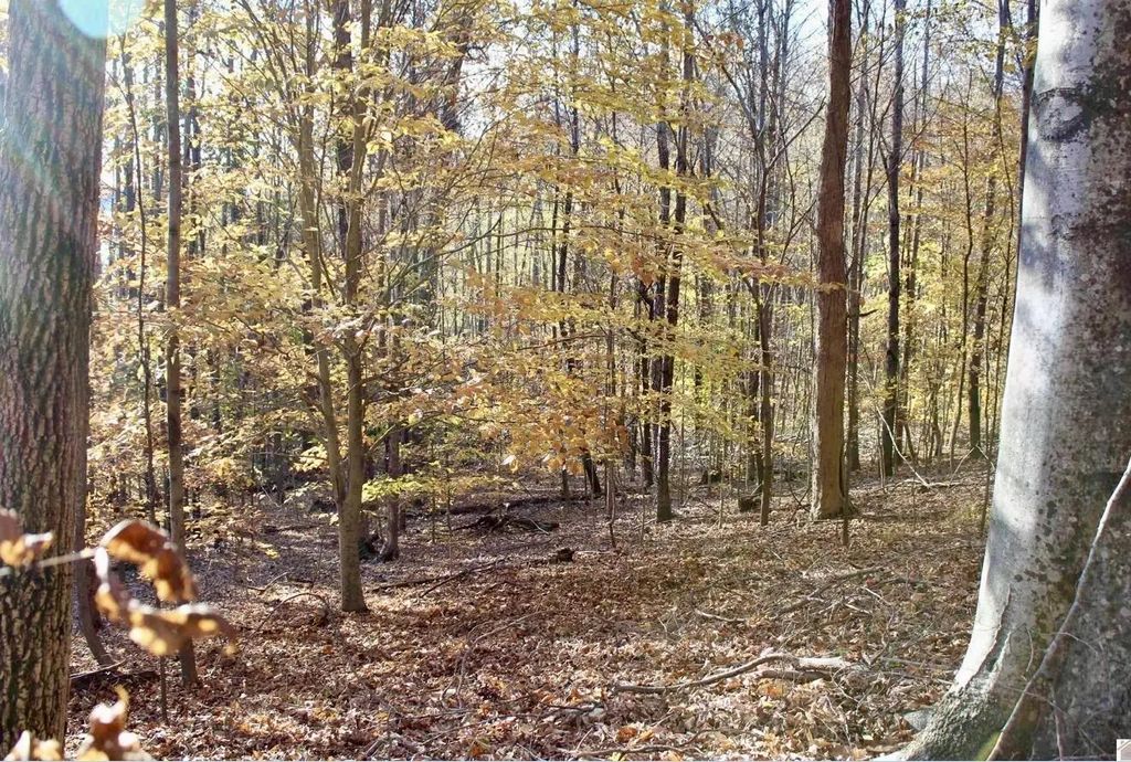 Lots 27e - 32e Parkersville Road, Eddyville