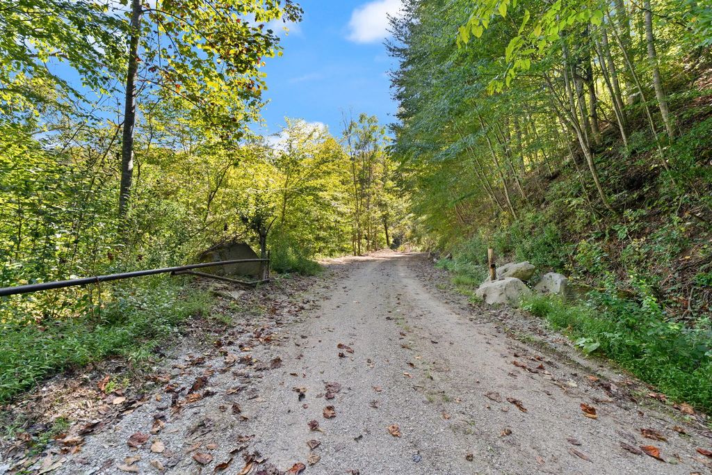 9999 Carrion Branch, Whitesburg