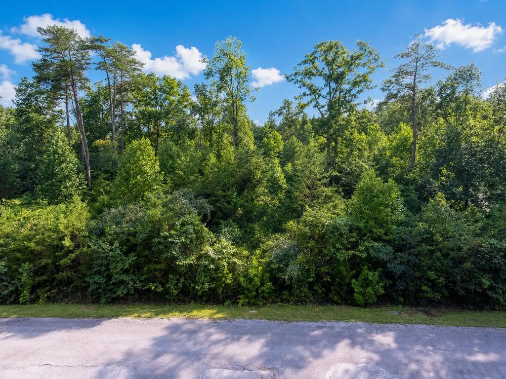 Lot 34 Doc Nichols Landing, Bronston