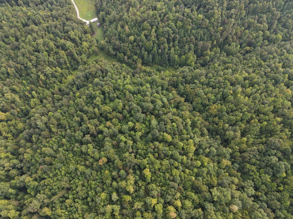 707 707 Shotgun Hollow Road, Frenchburg