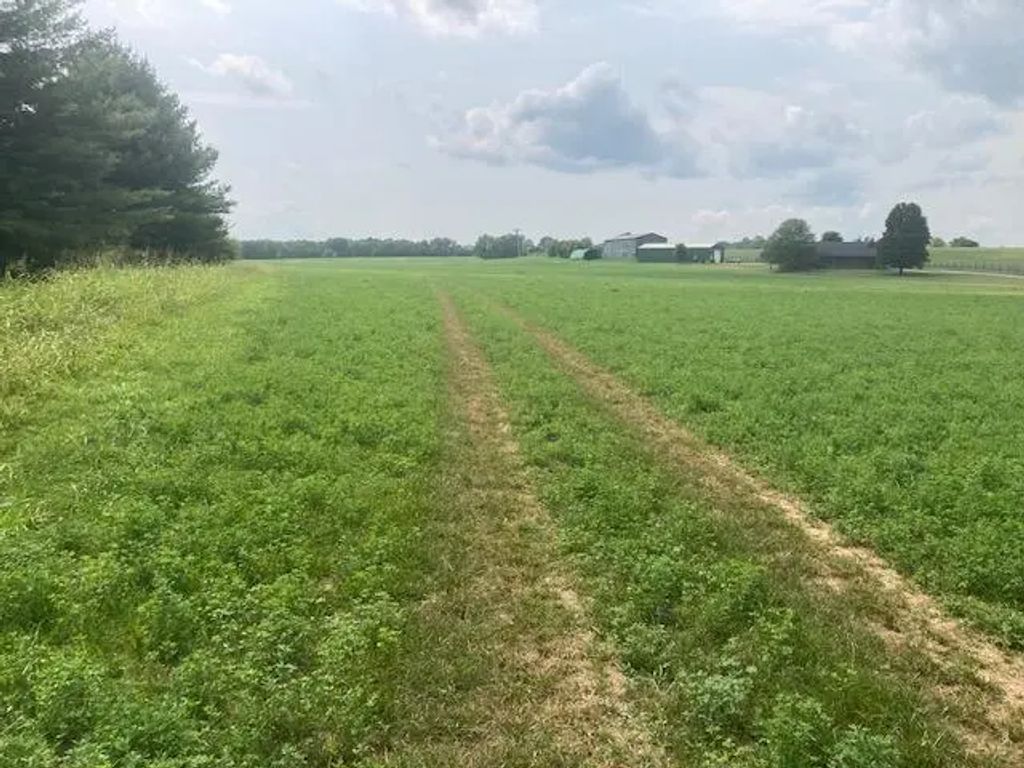 333 Silas  Road, Cynthiana