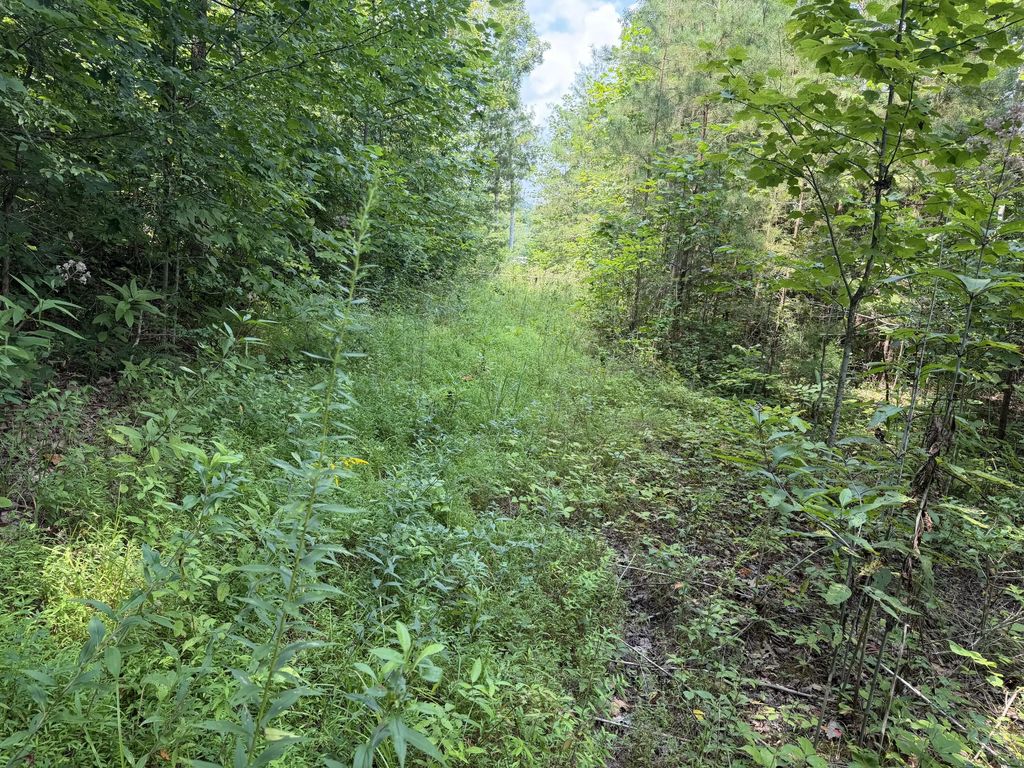 9 Tucker Hollow Road, Monticello
