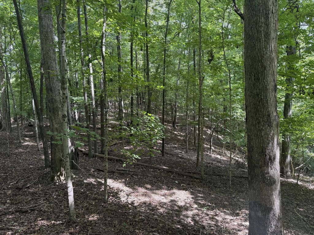 0 Perry Springs  Road, Eddyville