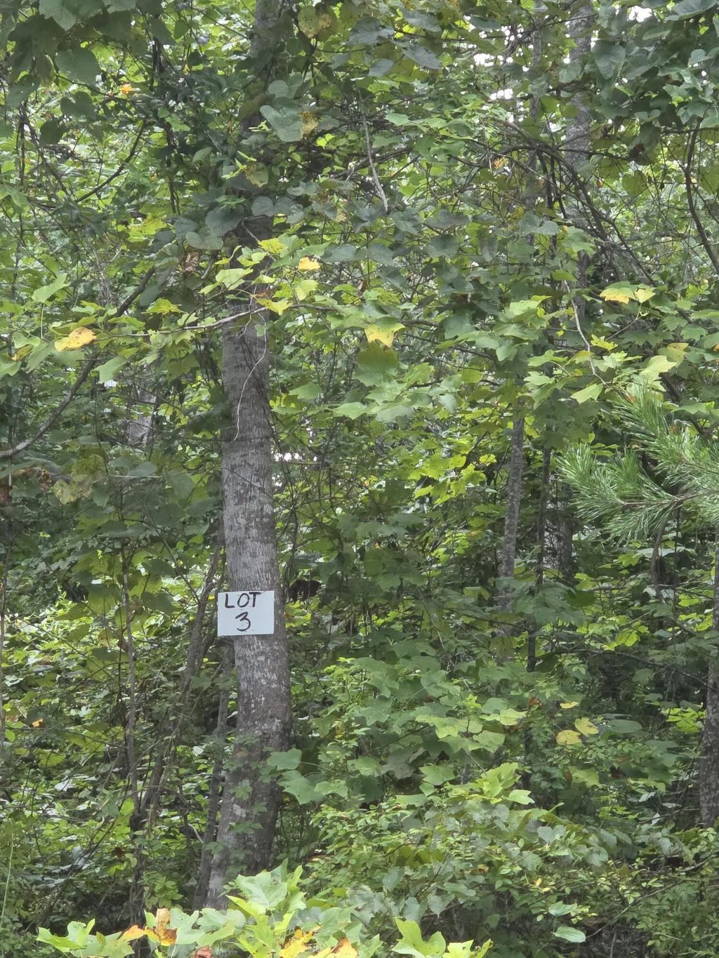 3 Buck Creek Circle, Somerset