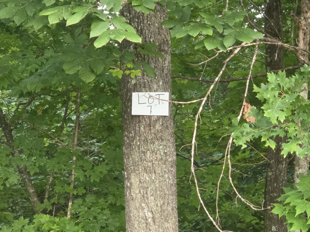 Lot #7  Buck Creek  Circle, Somerset
