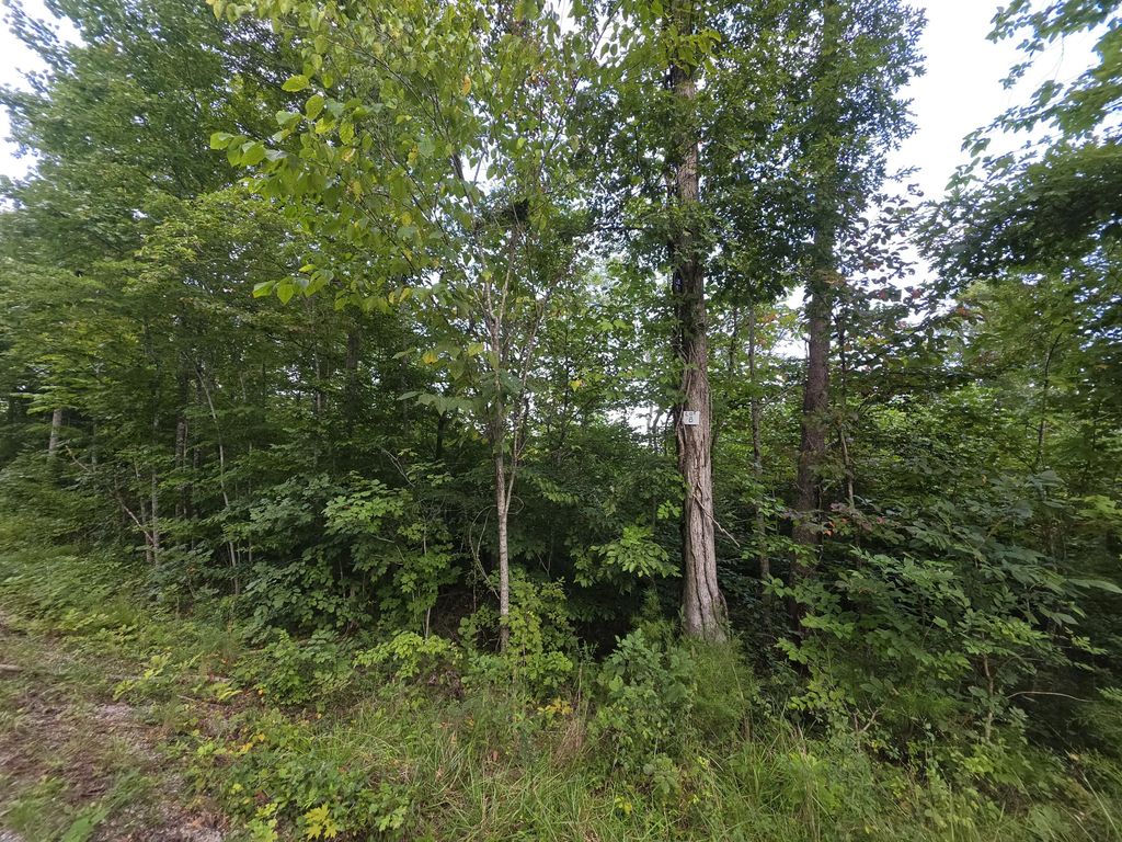 8 Buck Creek Circle, Somerset